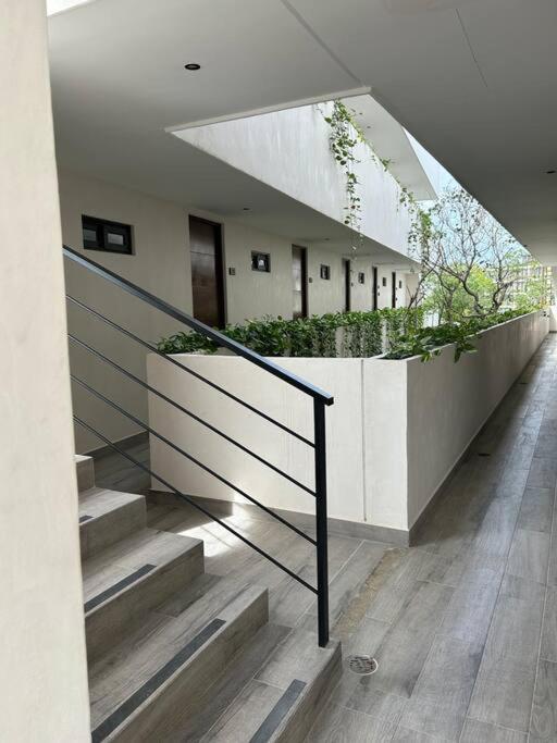 Loft Deluxe